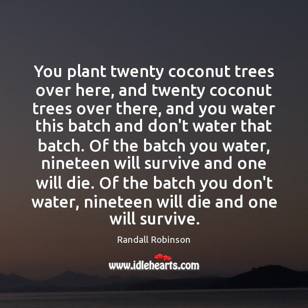 You plant twenty coconut trees over here, and twenty coconut trees over Randall Robinson Picture Quote