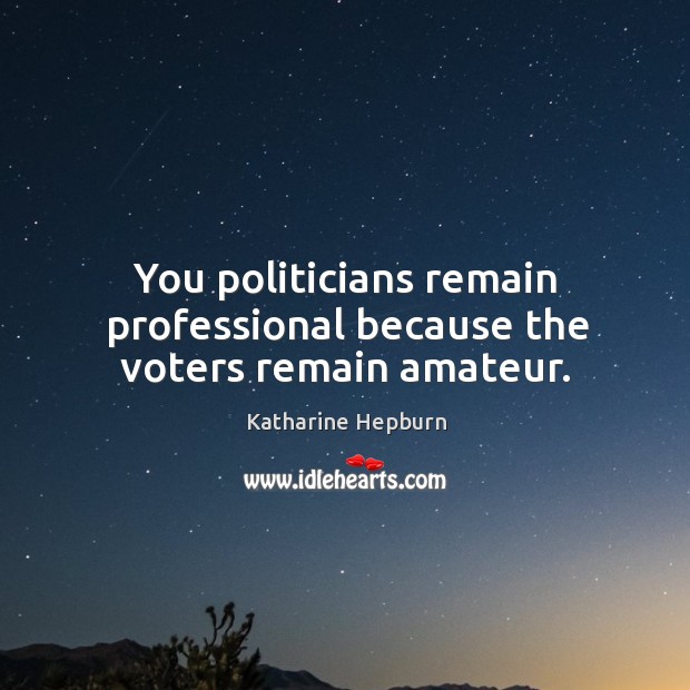 You politicians remain professional because the voters remain amateur. Katharine Hepburn Picture Quote