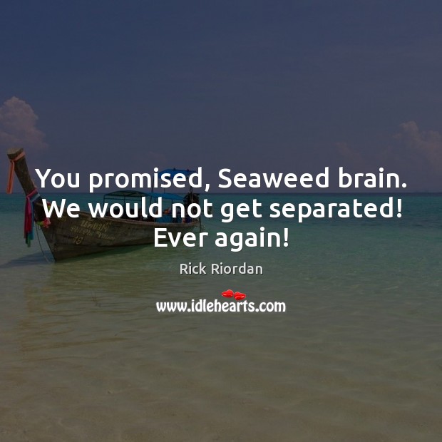 You promised, Seaweed brain. We would not get separated! Ever again! Rick Riordan Picture Quote