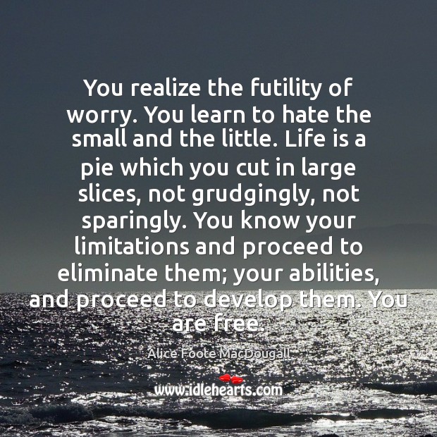 You realize the futility of worry. You learn to hate the small Realize Quotes Image