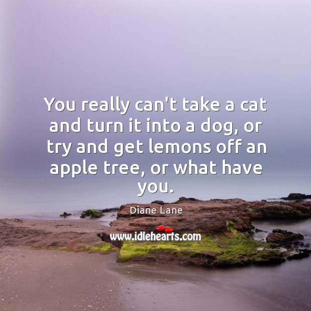 You really can’t take a cat and turn it into a dog, Diane Lane Picture Quote