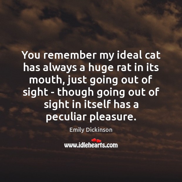 You remember my ideal cat has always a huge rat in its Emily Dickinson Picture Quote