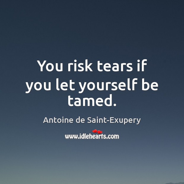 You risk tears if you let yourself be tamed. Antoine de Saint-Exupery Picture Quote