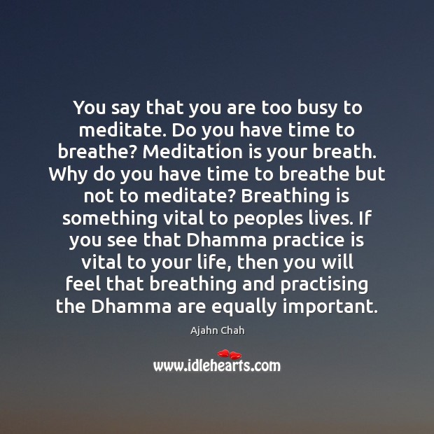 You say that you are too busy to meditate. Do you have Image