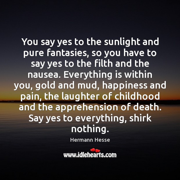 You say yes to the sunlight and pure fantasies, so you have Hermann Hesse Picture Quote