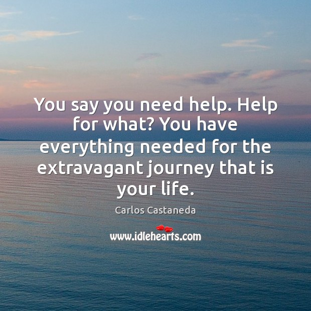You say you need help. Help for what? You have everything needed Carlos Castaneda Picture Quote