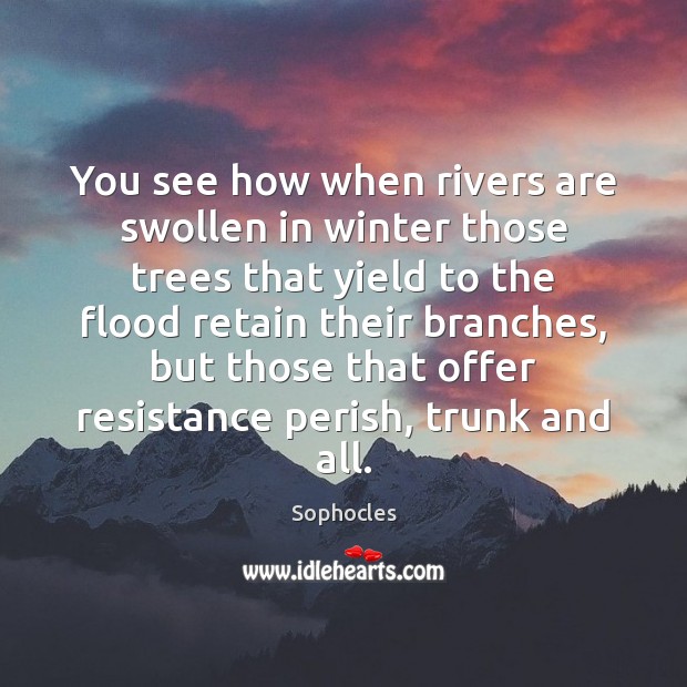 You see how when rivers are swollen in winter those trees that Sophocles Picture Quote