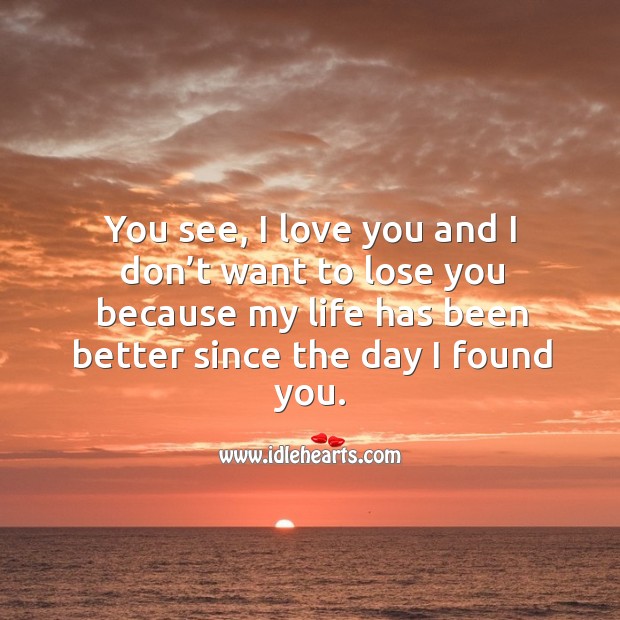 You see, I love you and I don’t want to lose you because my life has been better since the day I found you. I Love You Quotes Image