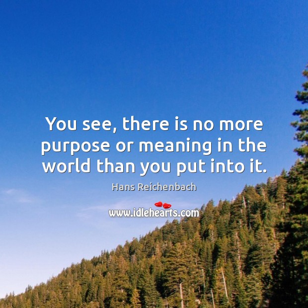 You see, there is no more purpose or meaning in the world than you put into it. Hans Reichenbach Picture Quote