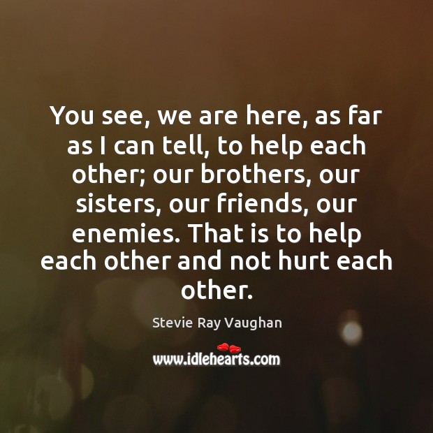 You see, we are here, as far as I can tell, to Brother Quotes Image