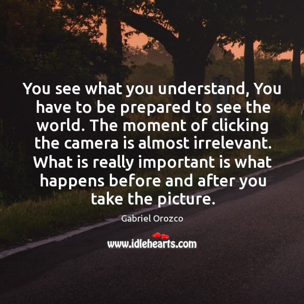 You see what you understand, You have to be prepared to see Gabriel Orozco Picture Quote