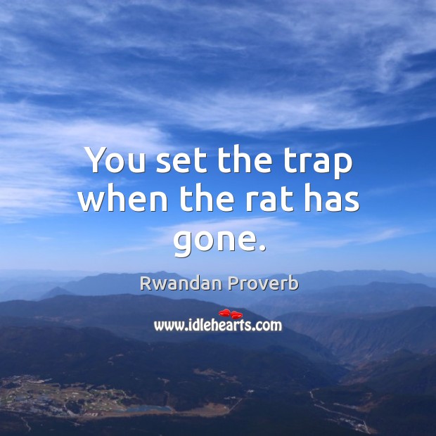 You set the trap when the rat has gone. Rwandan Proverbs Image