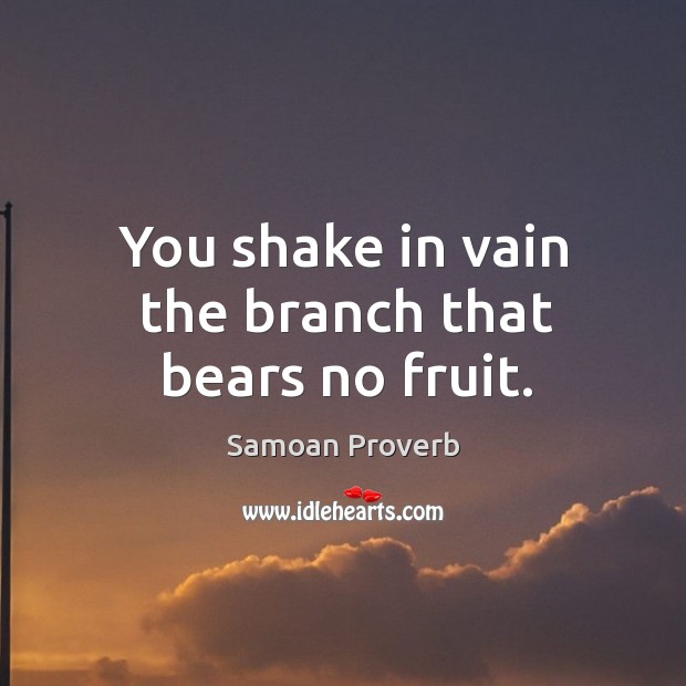 You shake in vain the branch that bears no fruit. Samoan Proverbs Image
