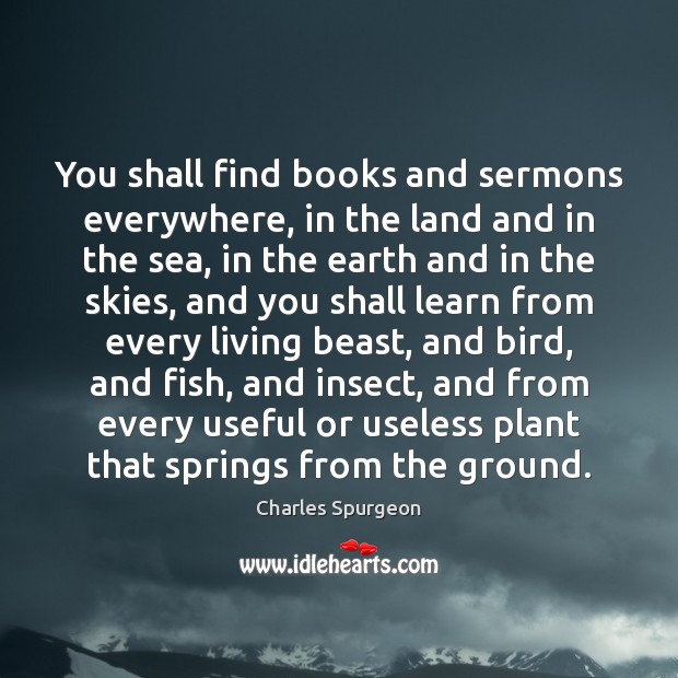 You shall find books and sermons everywhere, in the land and in Image