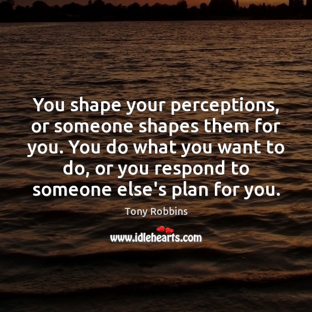 You shape your perceptions, or someone shapes them for you. You do Image