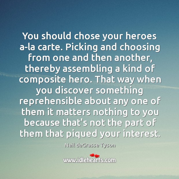 You should chose your heroes a-la carte. Picking and choosing from one Neil deGrasse Tyson Picture Quote
