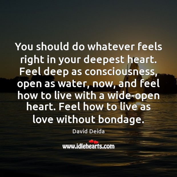 You should do whatever feels right in your deepest heart. Feel deep David Deida Picture Quote