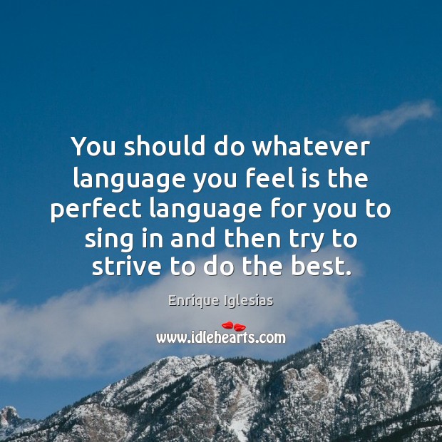 You should do whatever language you feel is the perfect language for Image