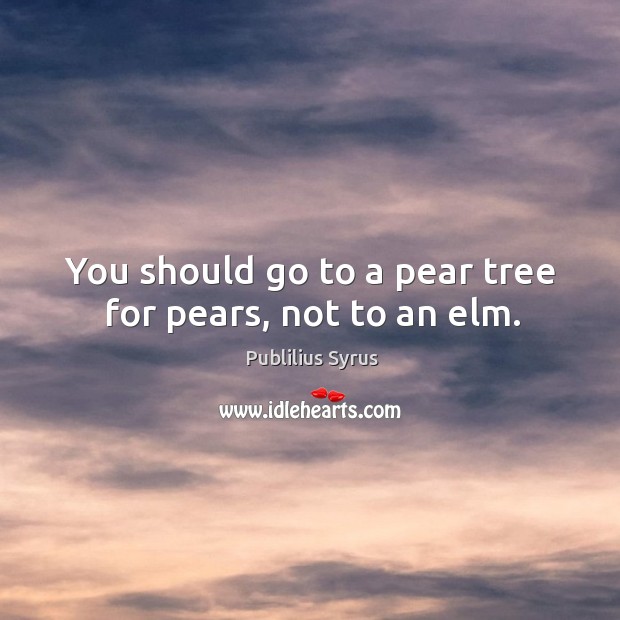 You should go to a pear tree for pears, not to an elm. Image