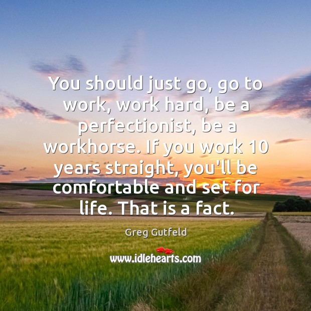 You should just go, go to work, work hard, be a perfectionist, Greg Gutfeld Picture Quote