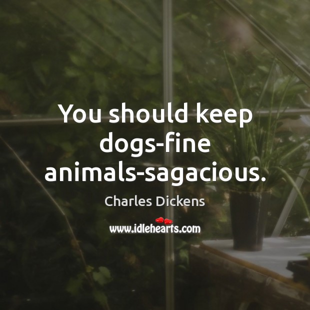 You should keep dogs-fine animals-sagacious. Image