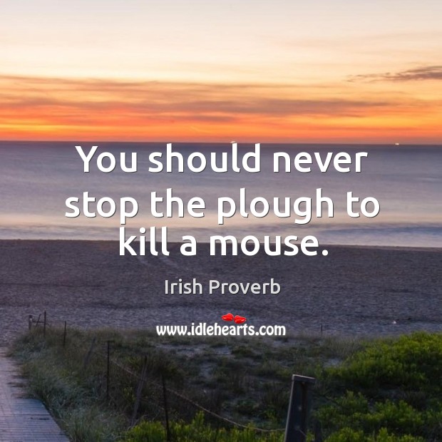 You should never stop the plough to kill a mouse. Irish Proverbs Image