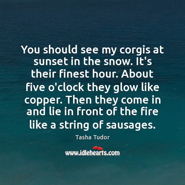 You should see my corgis at sunset in the snow. It’s their Tasha Tudor Picture Quote