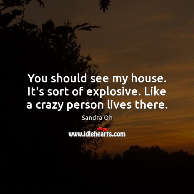 You should see my house. It’s sort of explosive. Like a crazy person lives there. Sandra Oh Picture Quote