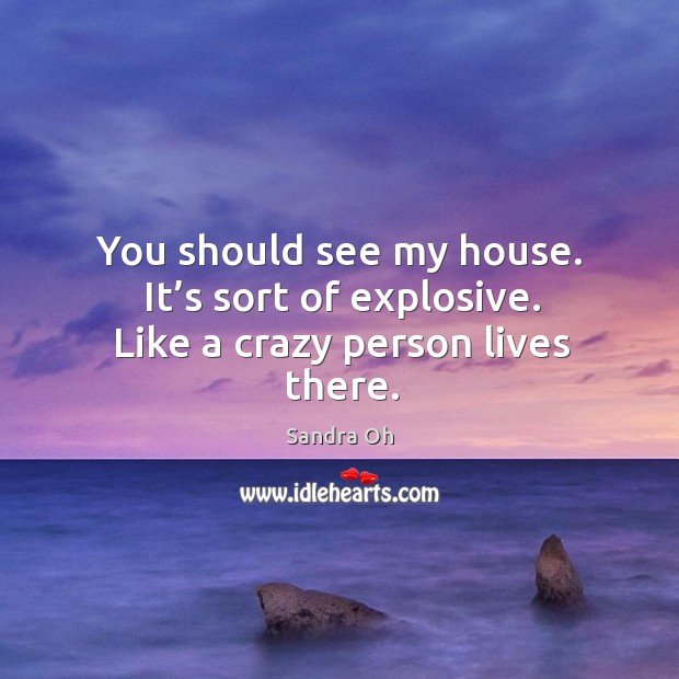 You should see my house. It’s sort of explosive. Like a crazy person lives there. Image