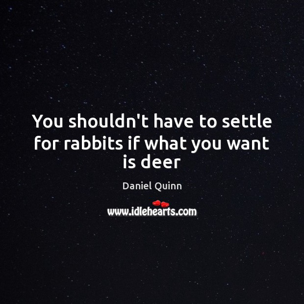 You shouldn’t have to settle for rabbits if what you want is deer Daniel Quinn Picture Quote