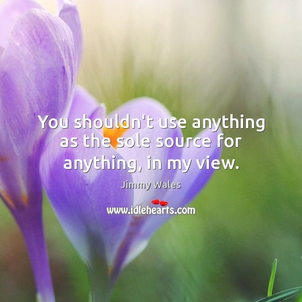 You shouldn’t use anything as the sole source for anything, in my view. Jimmy Wales Picture Quote
