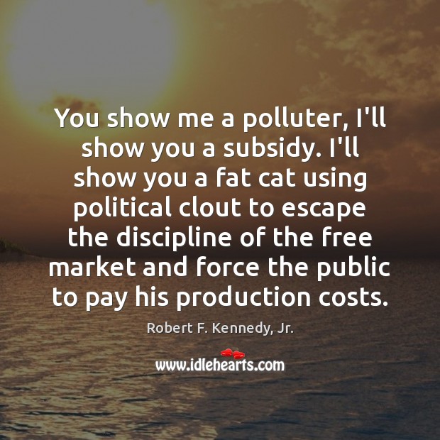 You show me a polluter, I’ll show you a subsidy. I’ll show Robert F. Kennedy, Jr. Picture Quote