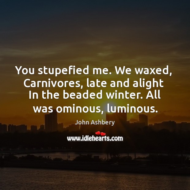 You stupefied me. We waxed,  Carnivores, late and alight  In the beaded John Ashbery Picture Quote