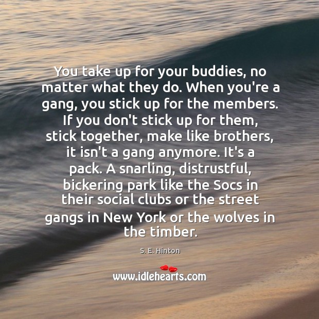 You take up for your buddies, no matter what they do. When S. E. Hinton Picture Quote