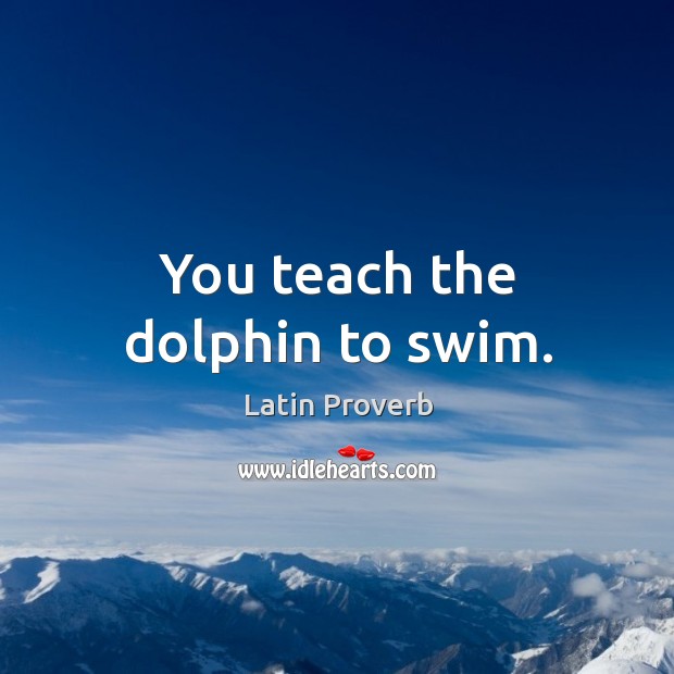 You teach the dolphin to swim. Image