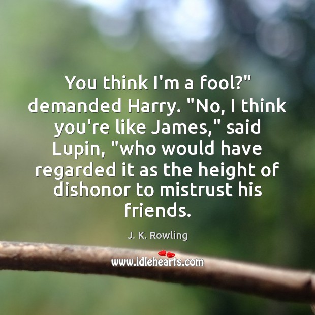 You think I’m a fool?” demanded Harry. “No, I think you’re like J. K. Rowling Picture Quote