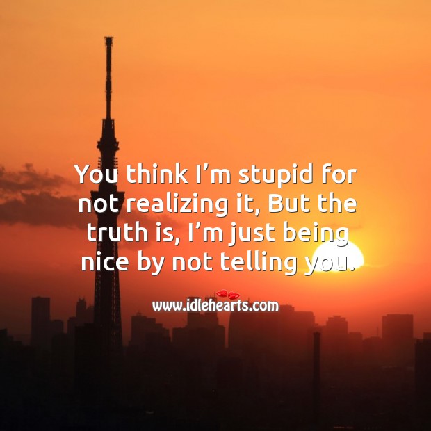 You think I’m stupid for not realizing it, but the truth is, I’m just being nice by not telling you. Image