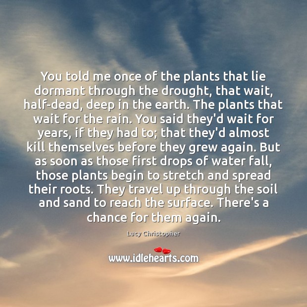You told me once of the plants that lie dormant through the Lucy Christopher Picture Quote