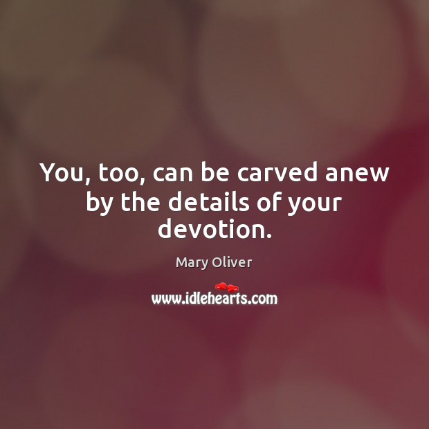 You, too, can be carved anew by the details of your devotion. Mary Oliver Picture Quote