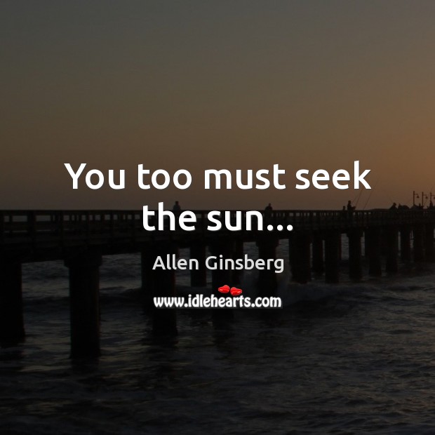 You too must seek the sun… Image