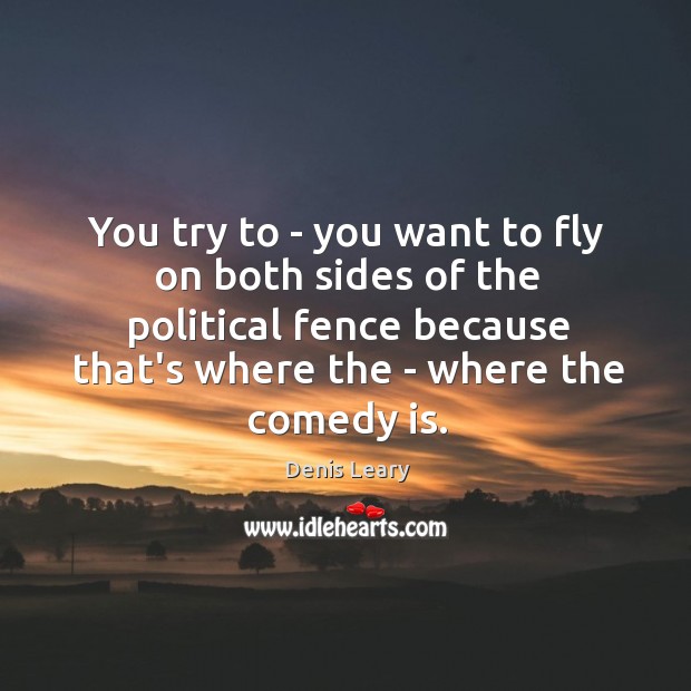 You try to – you want to fly on both sides of Denis Leary Picture Quote