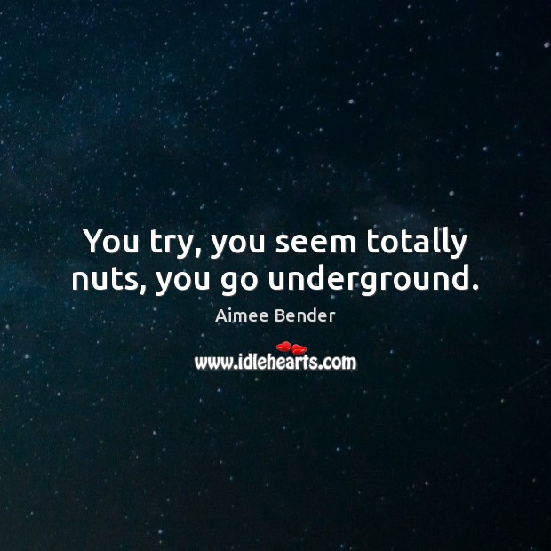 You try, you seem totally nuts, you go underground. Aimee Bender Picture Quote