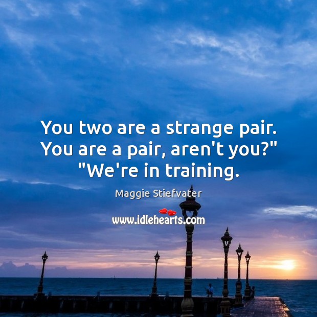 You two are a strange pair. You are a pair, aren’t you?” “We’re in training. Maggie Stiefvater Picture Quote