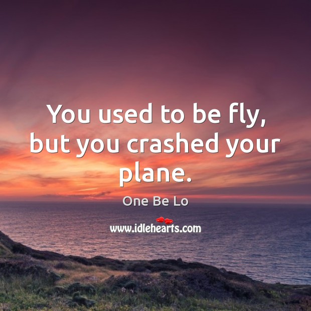 You used to be fly, but you crashed your plane. One Be Lo Picture Quote