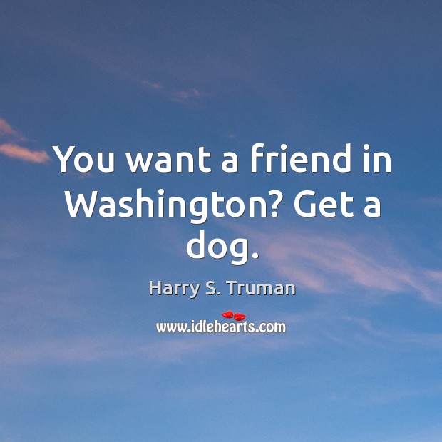 You want a friend in washington? get a dog. Image
