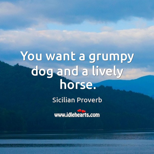 You want a grumpy dog and a lively horse. Sicilian Proverbs Image