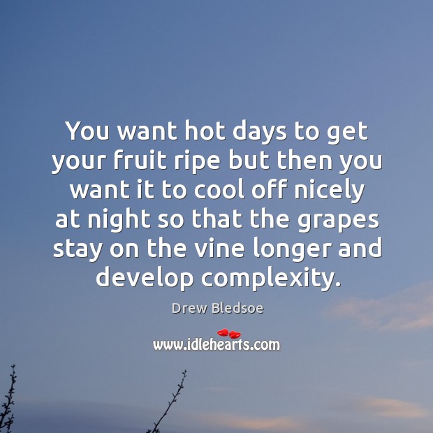 You want hot days to get your fruit ripe but then you want it to cool off nicely at Image