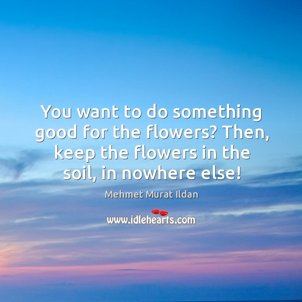 You want to do something good for the flowers? Then, keep the Image
