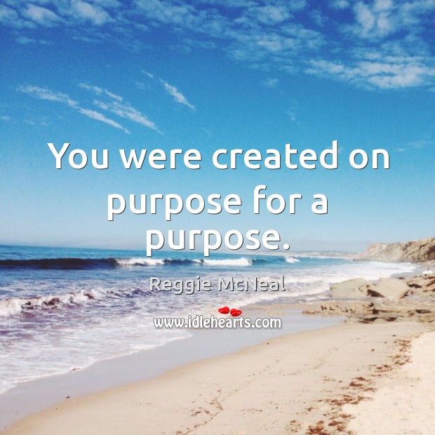 You were created on purpose for a purpose. Reggie McNeal Picture Quote