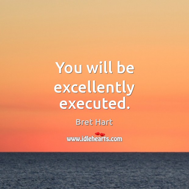 You will be excellently executed. Bret Hart Picture Quote